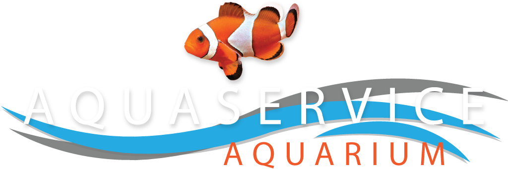 Aquaservice Aquarium